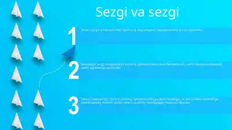 Sezgilarning Nerv-Fiziologik Asoslari 2