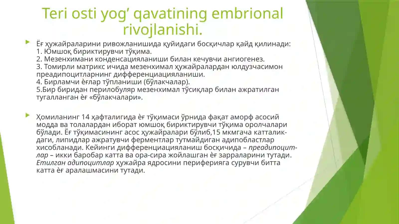 Teri osti yog’ qavati (embriologik jarayon) 2