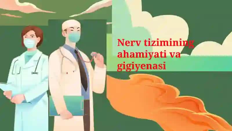 Nerv tizimining ahamiyati va gigiyenasi 2