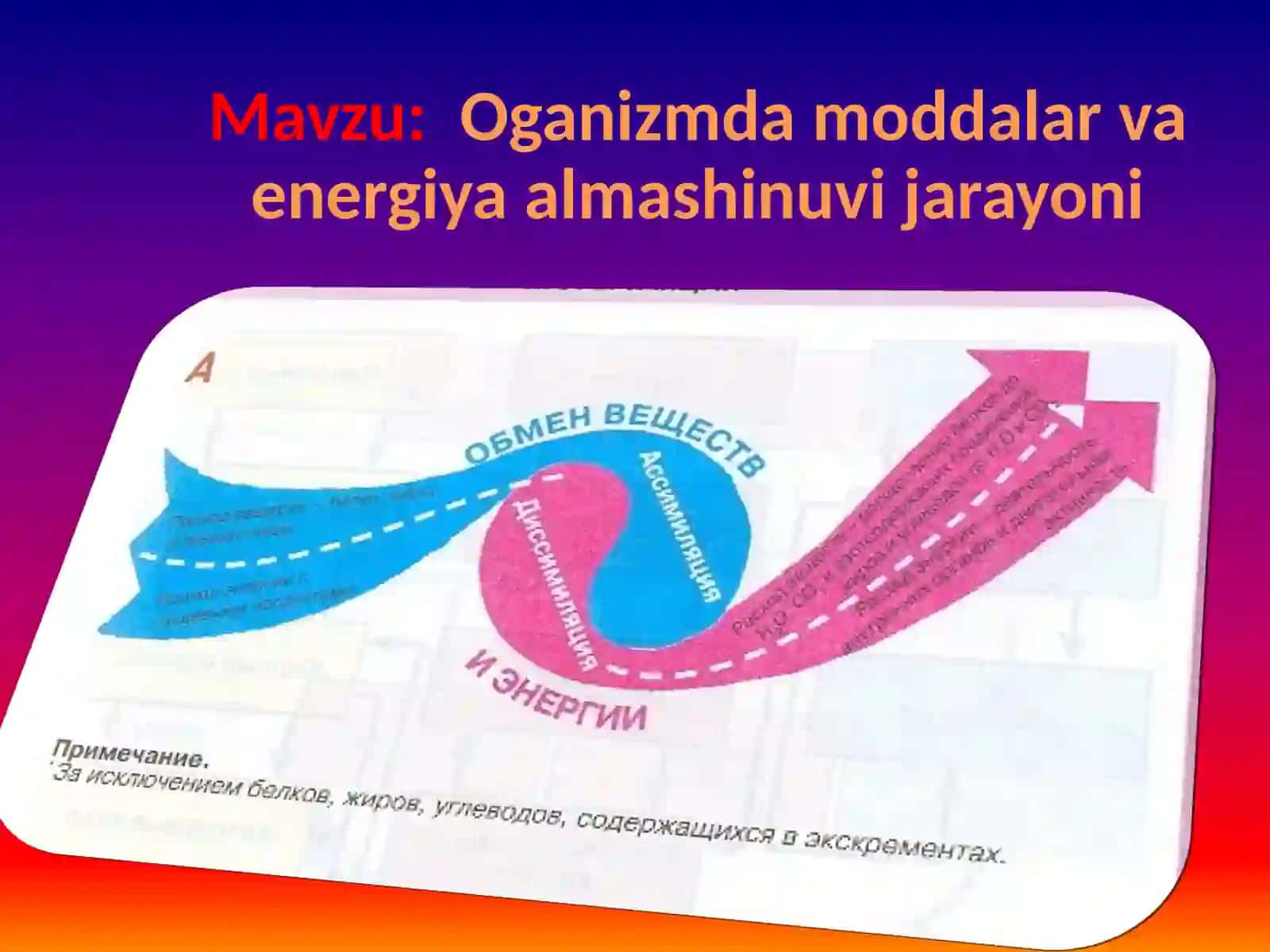 Organizmda Moddalar va Energiya Almashinuvi 2