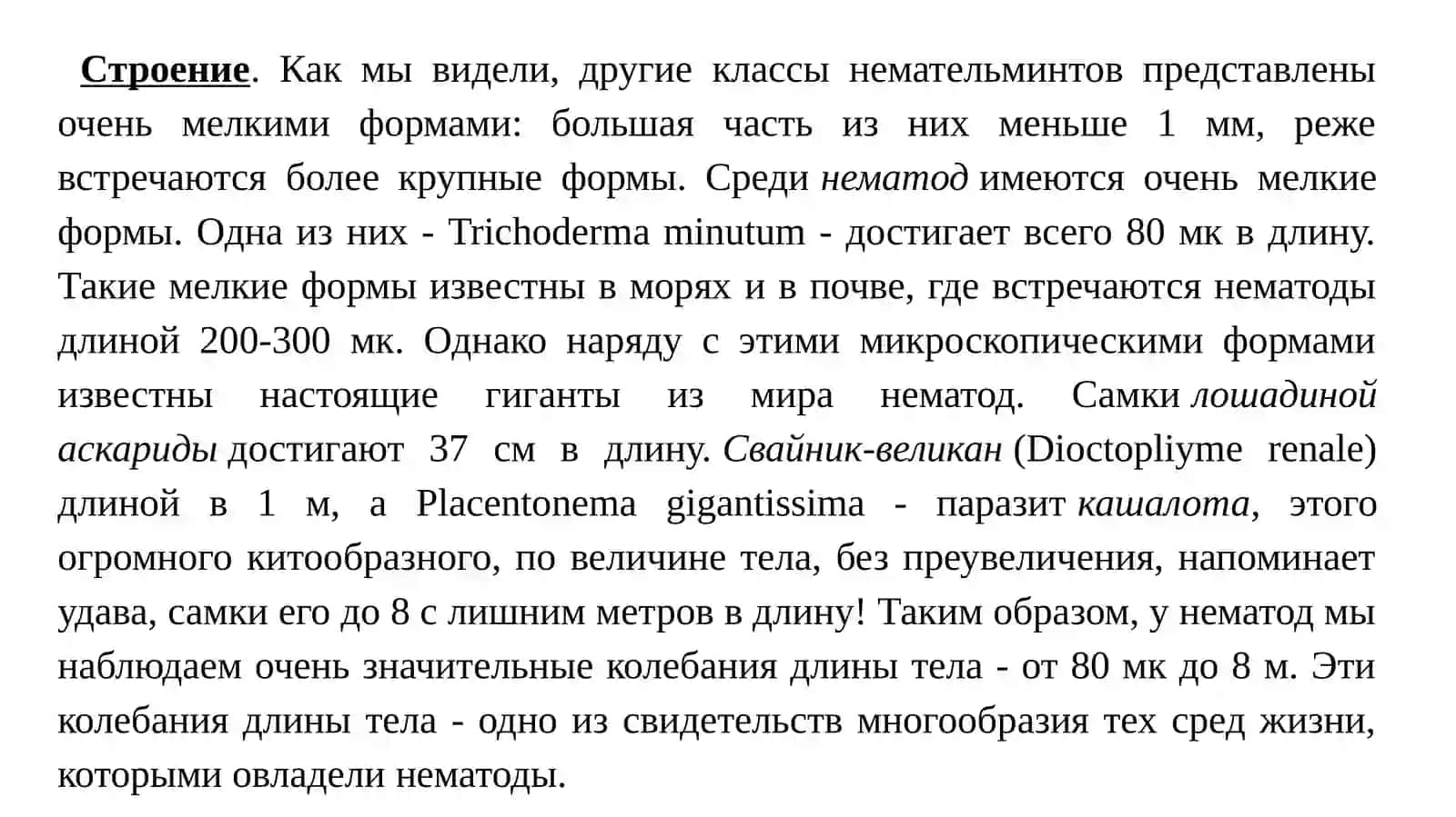 Строение почвенной нематоды и её значение 2