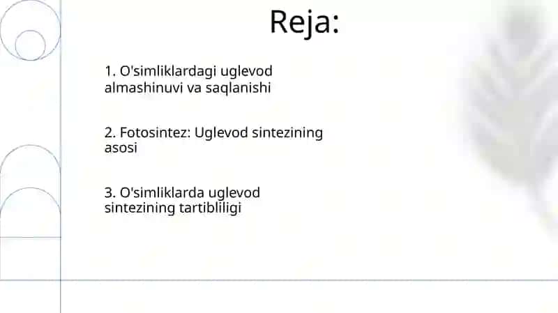Oʻsimliklarda uglevodlar sintezi 2
