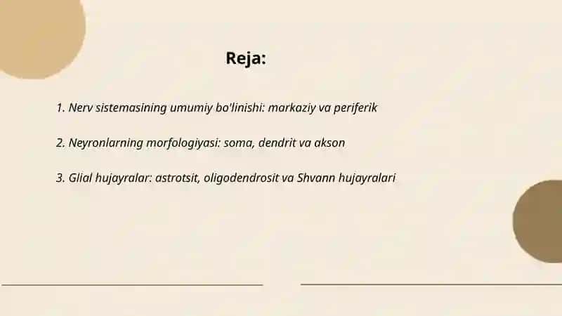 Odam nerv sistemasining tuzilishi va funksiyasi 2
