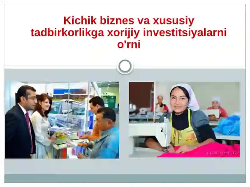 Kichik biznes va xususiy tadbirkorlikga xorijiy investitsiyalarni jalb qilish 2