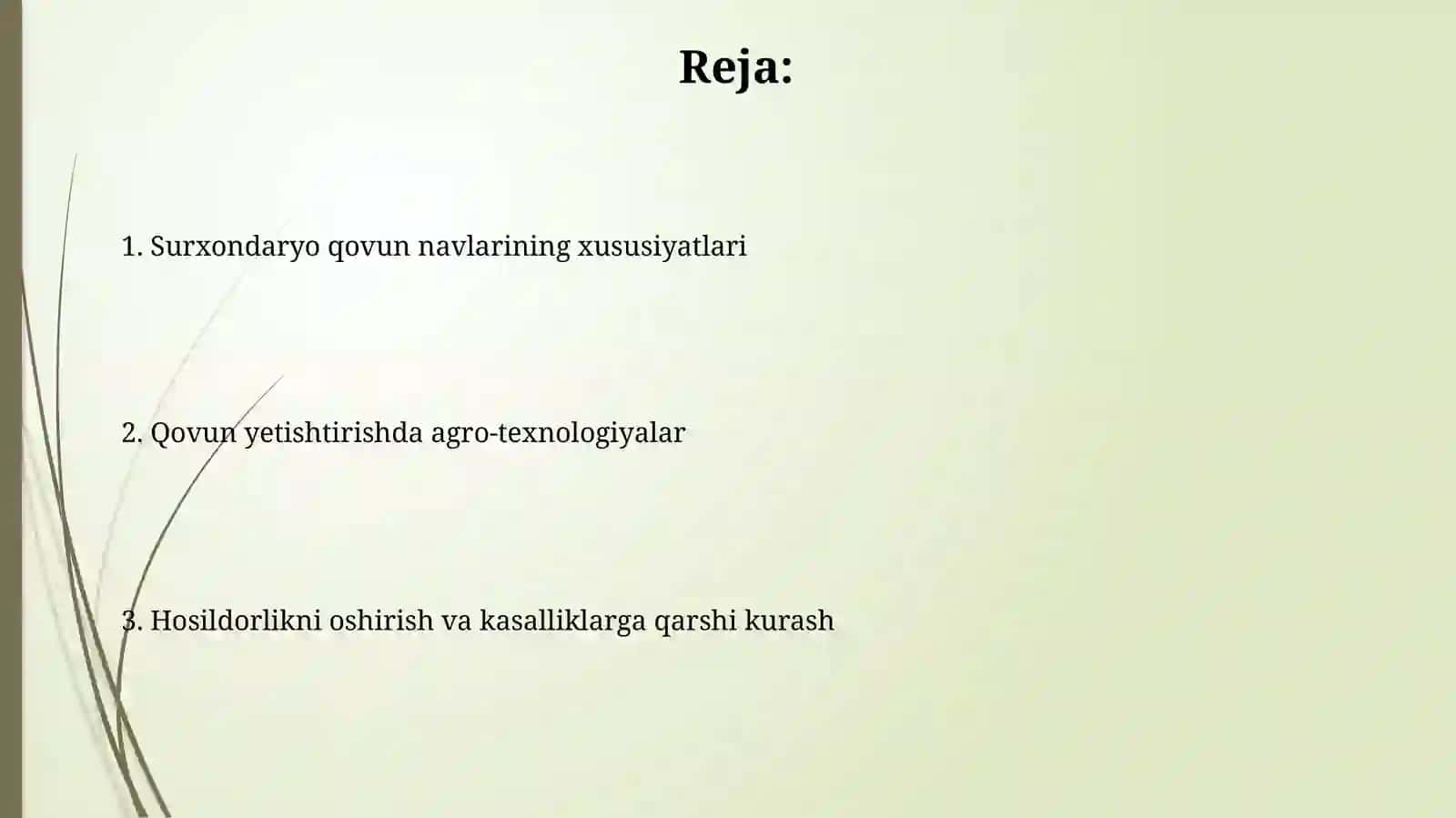 Qovun navlari va Surxondaryoda yetishtirish texnologiyasi 2