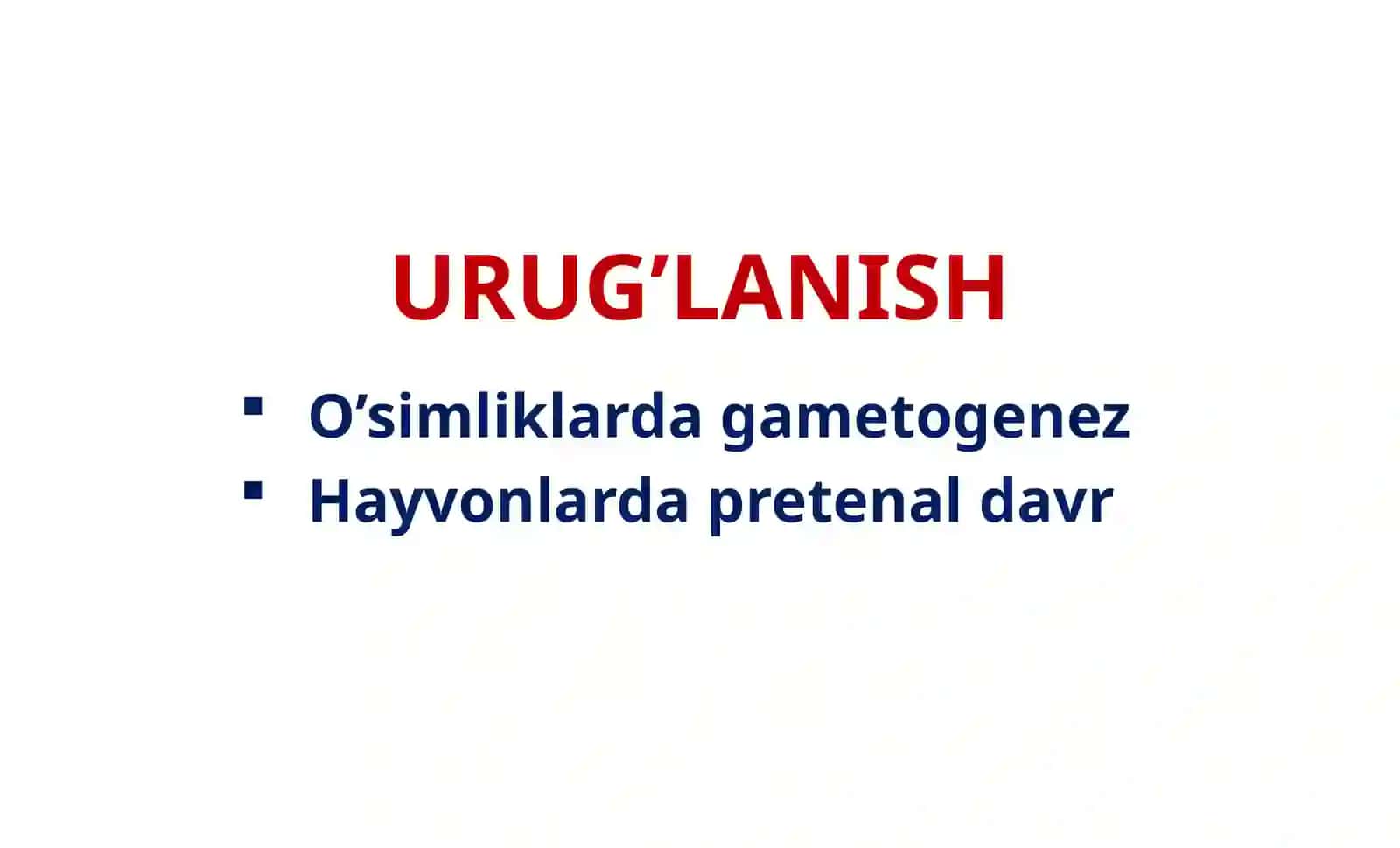 URUG’LANISH 2
