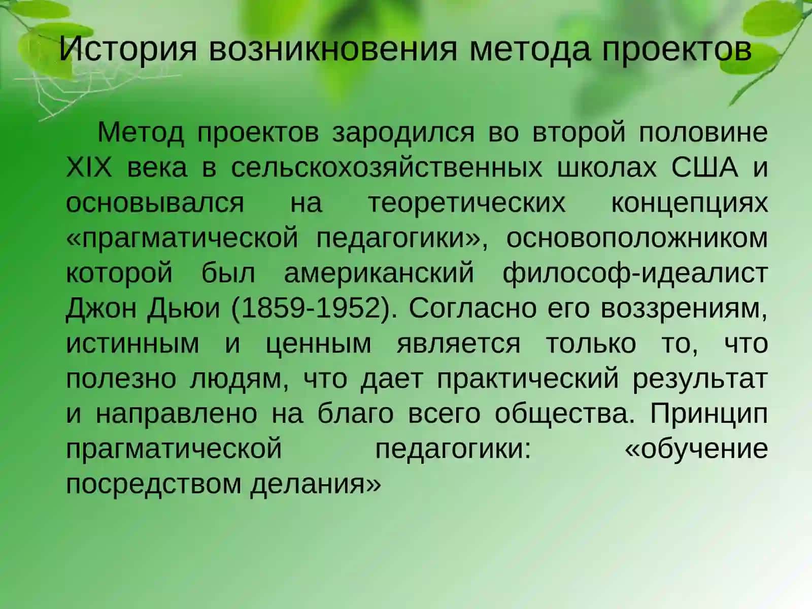 Проектная деятельность в начальной школе 2