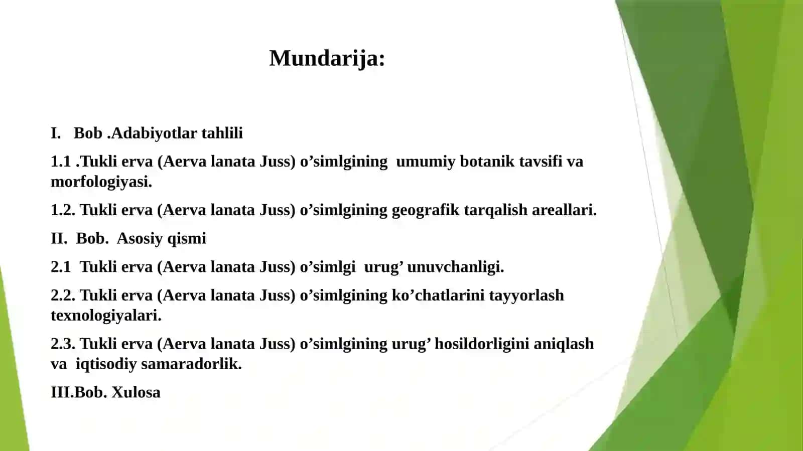 Tukli erva (Aervalanata Juss) o’simlgi urug’chligi va ko’chatchilik tahlili 2