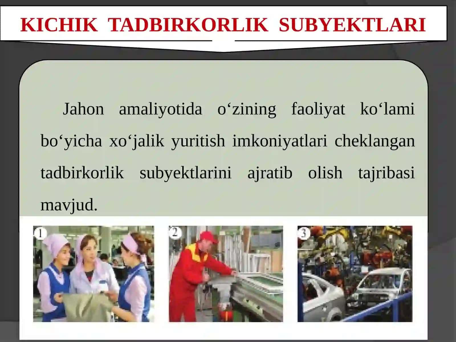 KICHIK TADBIRKORLIK SUBYEKTLARI 2