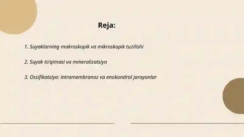 Tayanch harakat sistemasi (osteologiya). Muskullar sistemasi (miologiya) 2