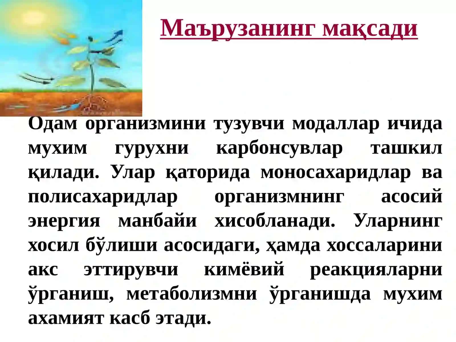 Карбонсувлар. Тузилиши ва хоссалари ва функциялари 2
