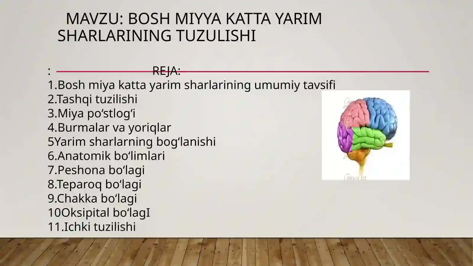 Bosh miya yarim sharlari 2