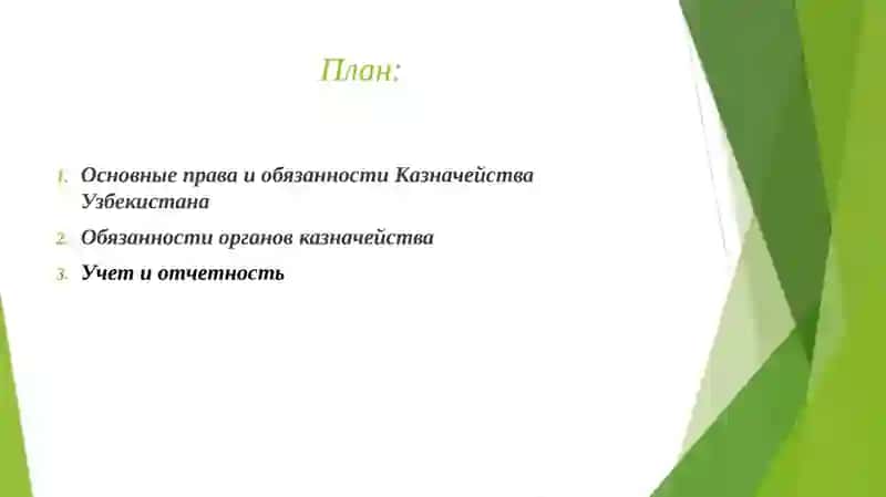 Права и обязанности органов казначейства 2