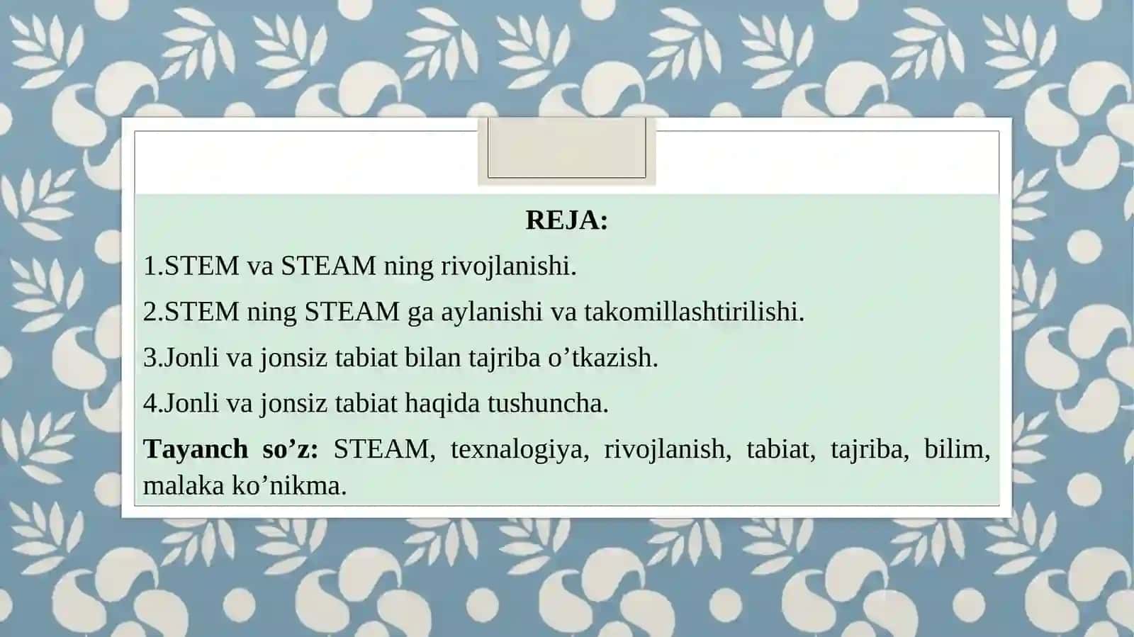 STEM va STEAM ning rivojlanishi 2