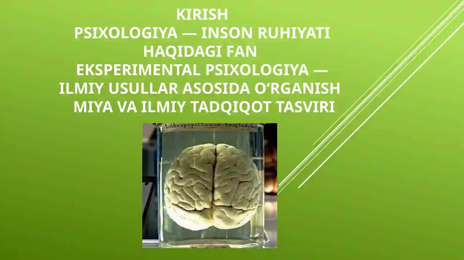 Eksperimental psixologiya fan sifatida shakllanishi 2