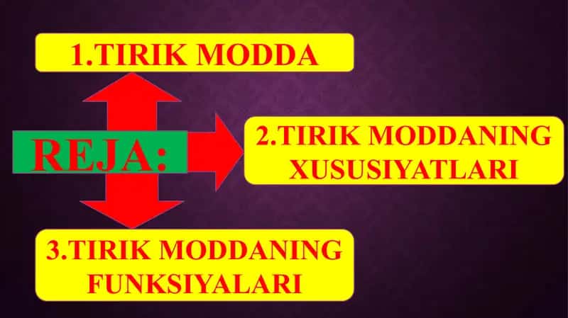 BIOSFERADAGI TIRIK MODDANING XUSUSIYATLARI VA FUNKSIYALARI 2