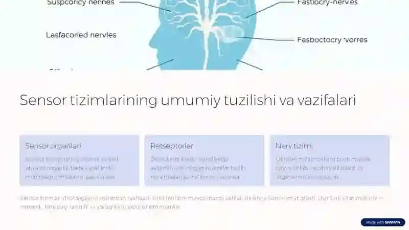 Sensor tizimlari, tekshirish usullari va retseptorlarning sinflanishi 2