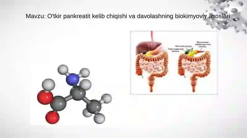 O'tkirpankreatit kelib chiqishi va davolashning biokimyoviy asoslari 2
