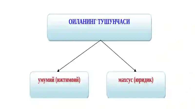 Chеt el fuqarolari va fuqaroligi bo’lmagan shaxslar ishtirokidagi oilaviy munosabatlarni tartibga solish 2