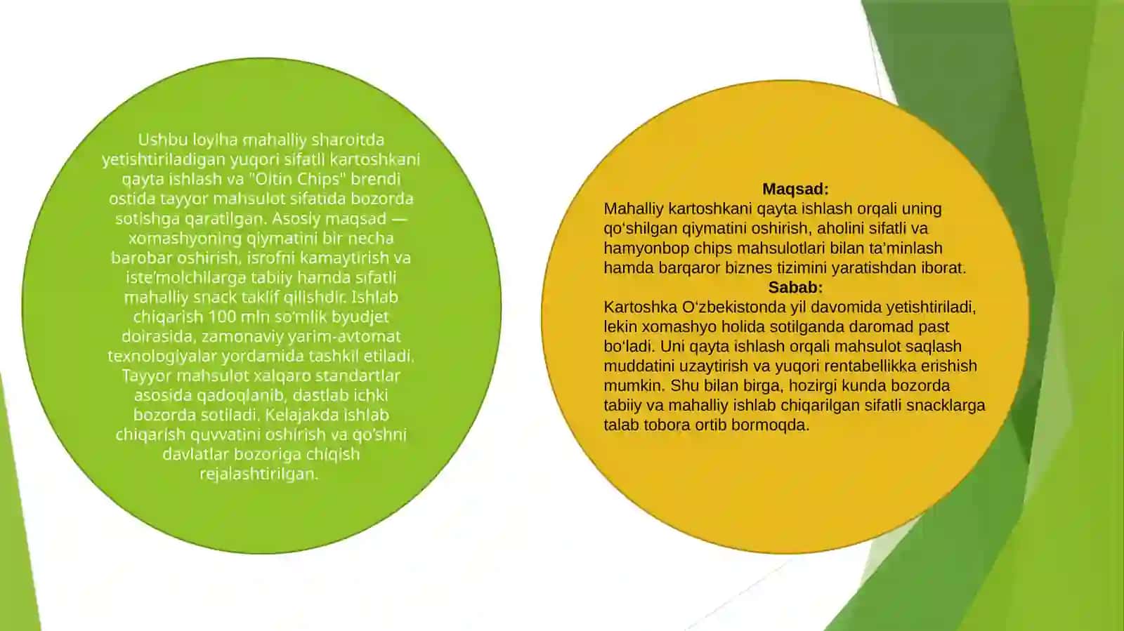 (100 millionlik loyiha ishi)  Oltin Chips 2