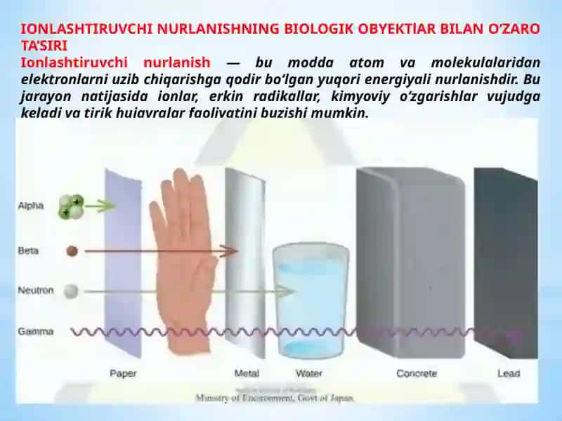 Ionlashtiruvchi nurlanishning biologik obyektlar bilan o’zaro tasiri 2