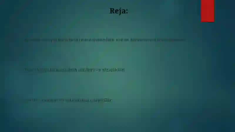 SEVGI FASLI 2