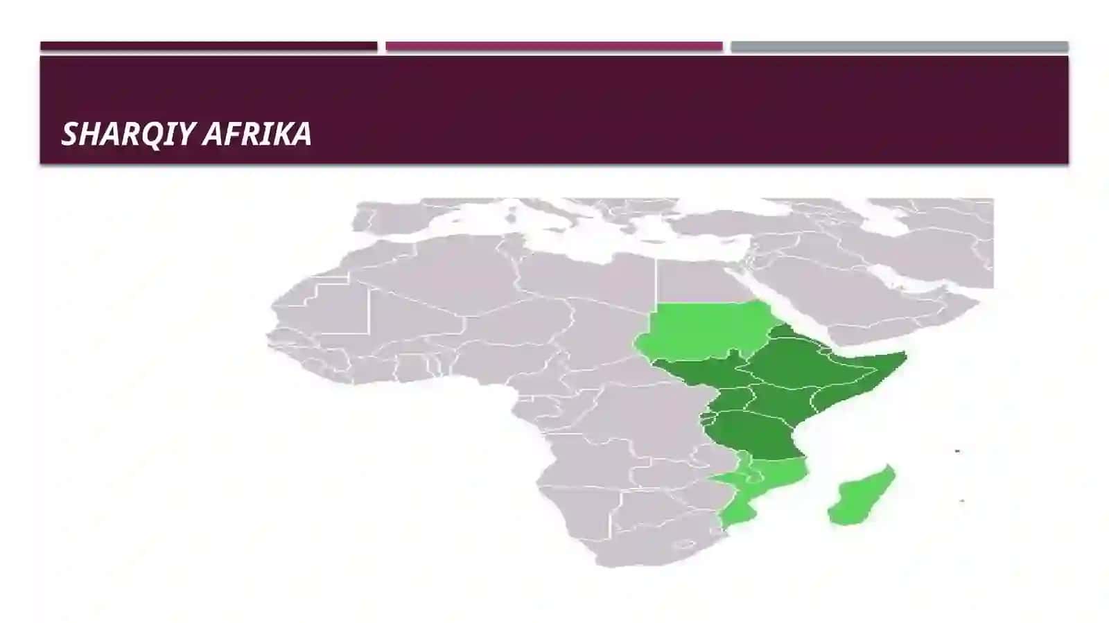 Sharqiy Afrika Hududidagi arxeologik topilmalar 2