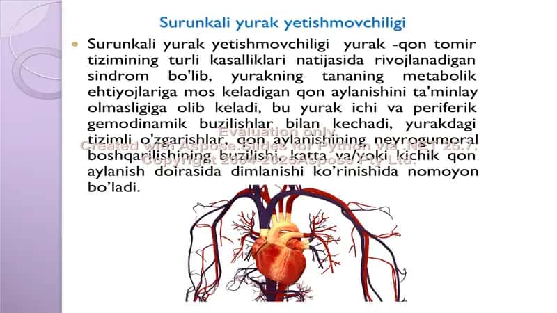 Surunkali yurak yetishmovchiligi patogenezining tushunchasi 2