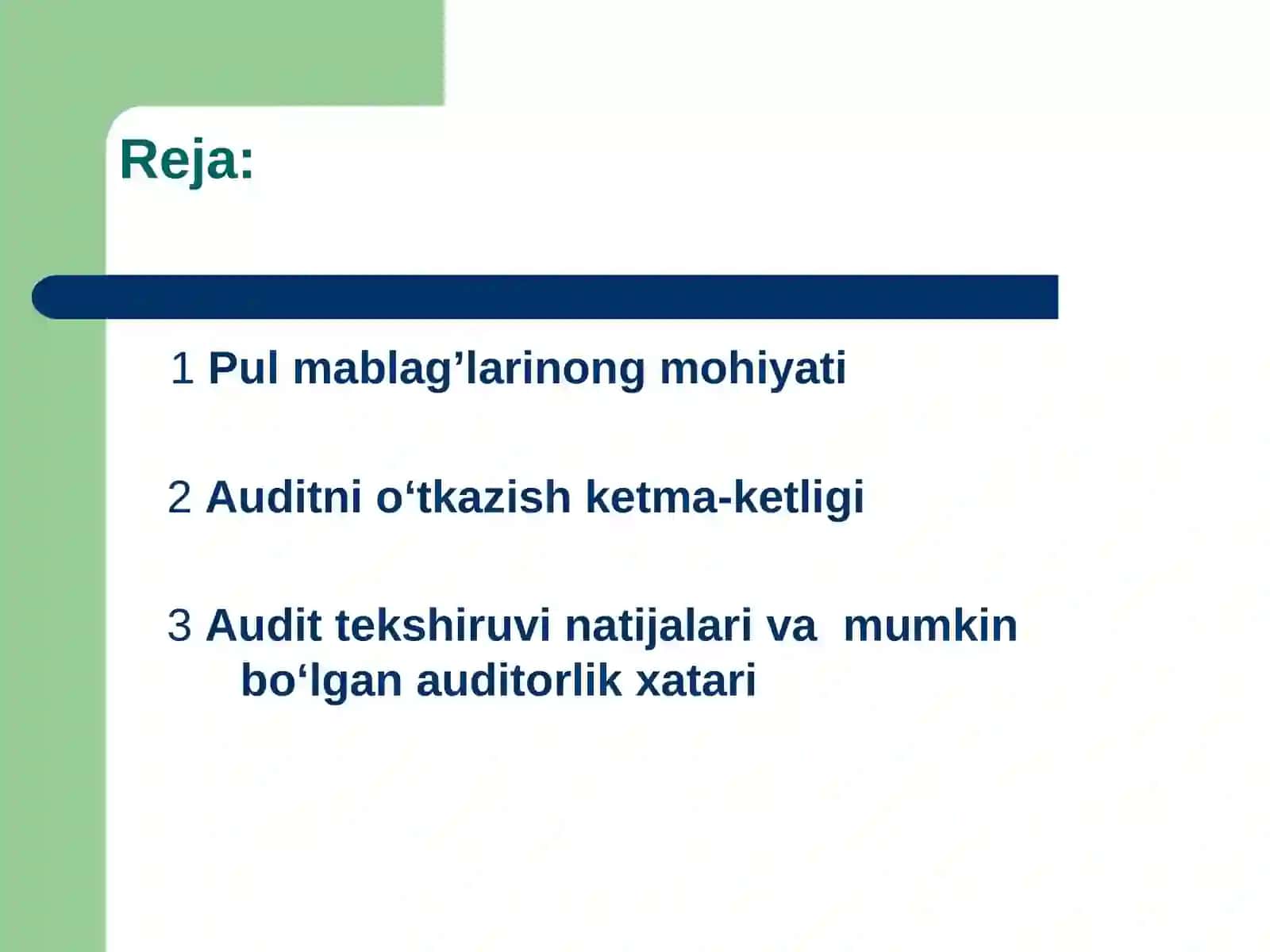 Pul mablag’lari auditi 2