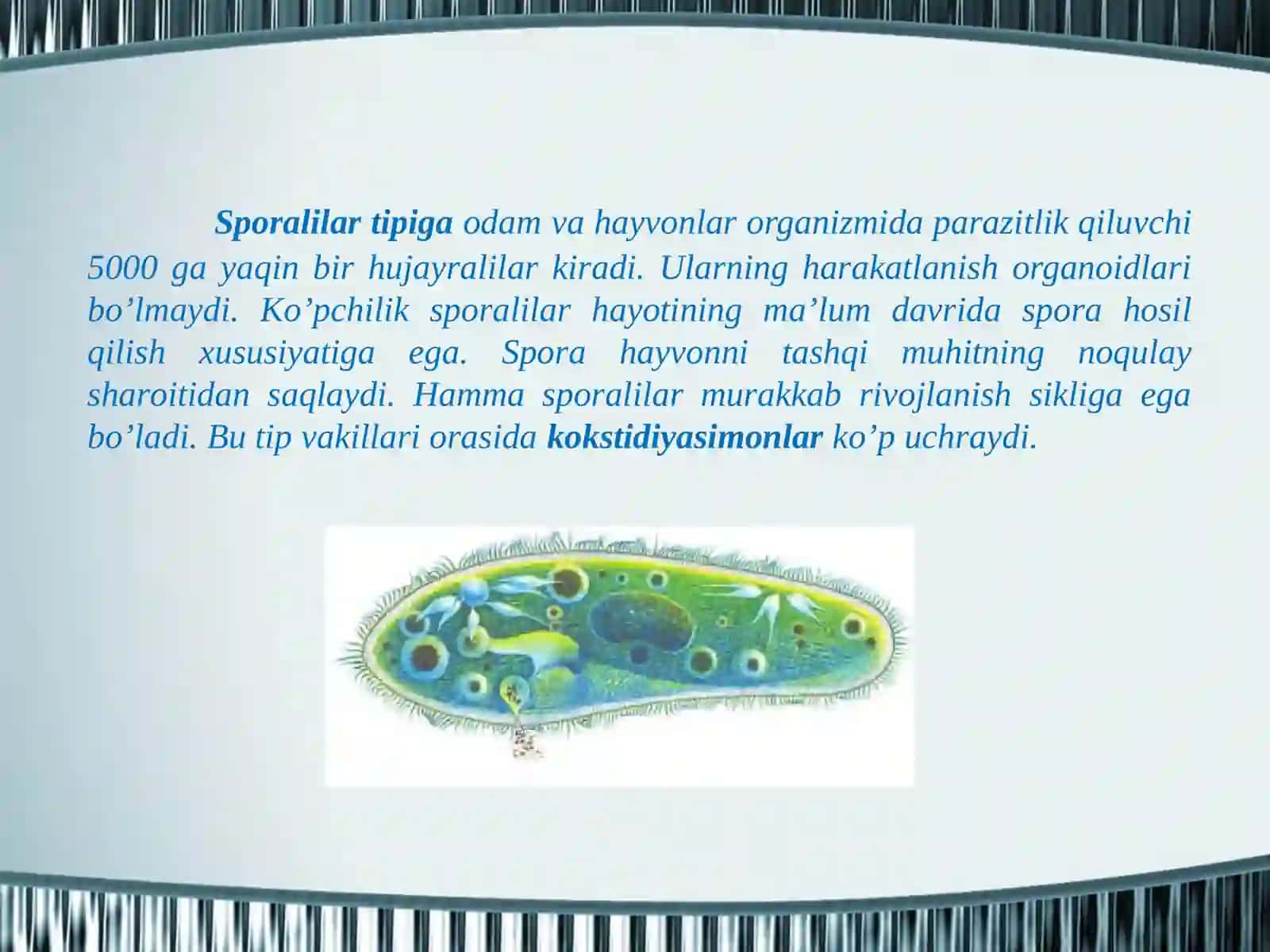 Spоrаlilаr tipi ko’p hujаyrаlilаr kеnjа dunyosi ko’p hujаyrаlilаrning kеlib chiqishi 2