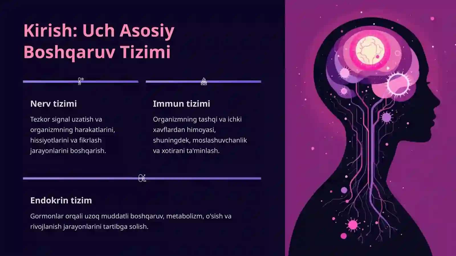 Organizmning Nerv, Immun va Endokrin Boshqaruvi 2