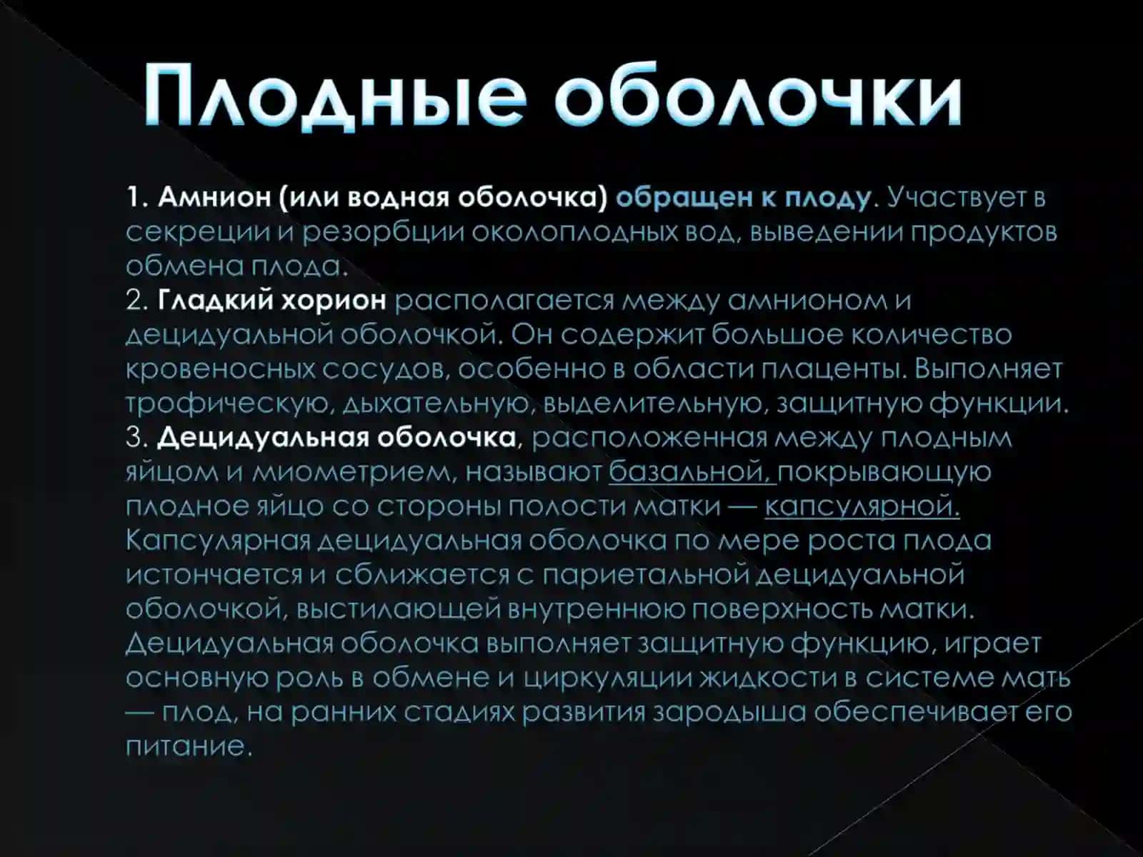 Базальная децидуальная оболочка 2