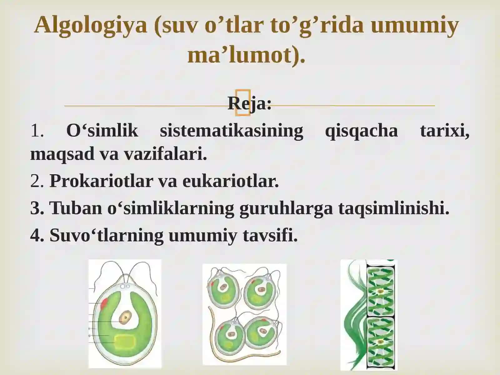 Algologiya (suv o’tlar to’g’rida umumiy ma’lumot) 2