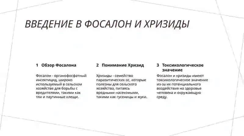 Фосалон и Хризиды 2