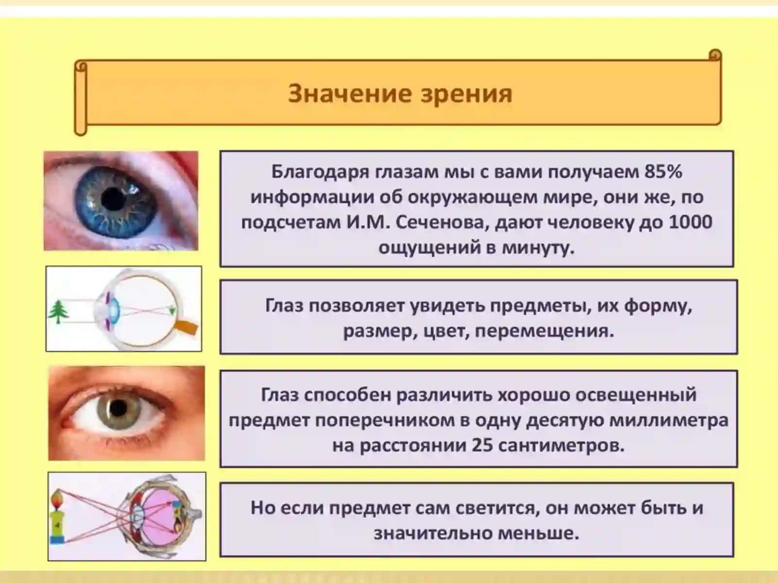Характеристики и гигиена органов зрения и слуха 2