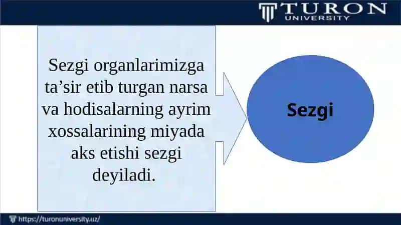 SEZGI HAQIDA TUSHUNCHA 2