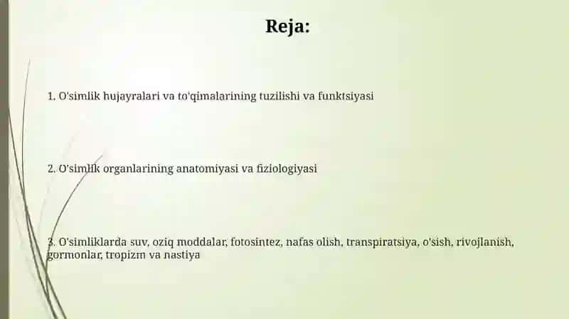 O‘simliklar anatomiyasi va fiziologiyasi 2