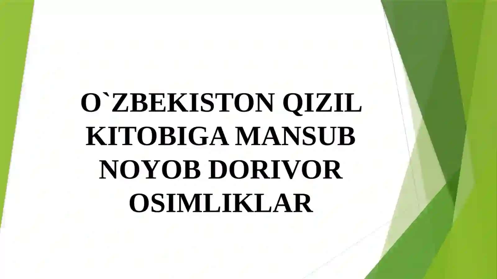 O`ZBEKISTON QIZIL KITOBIGA MANSUB NOYOB DORIVOR OSIMLIKLAR 2
