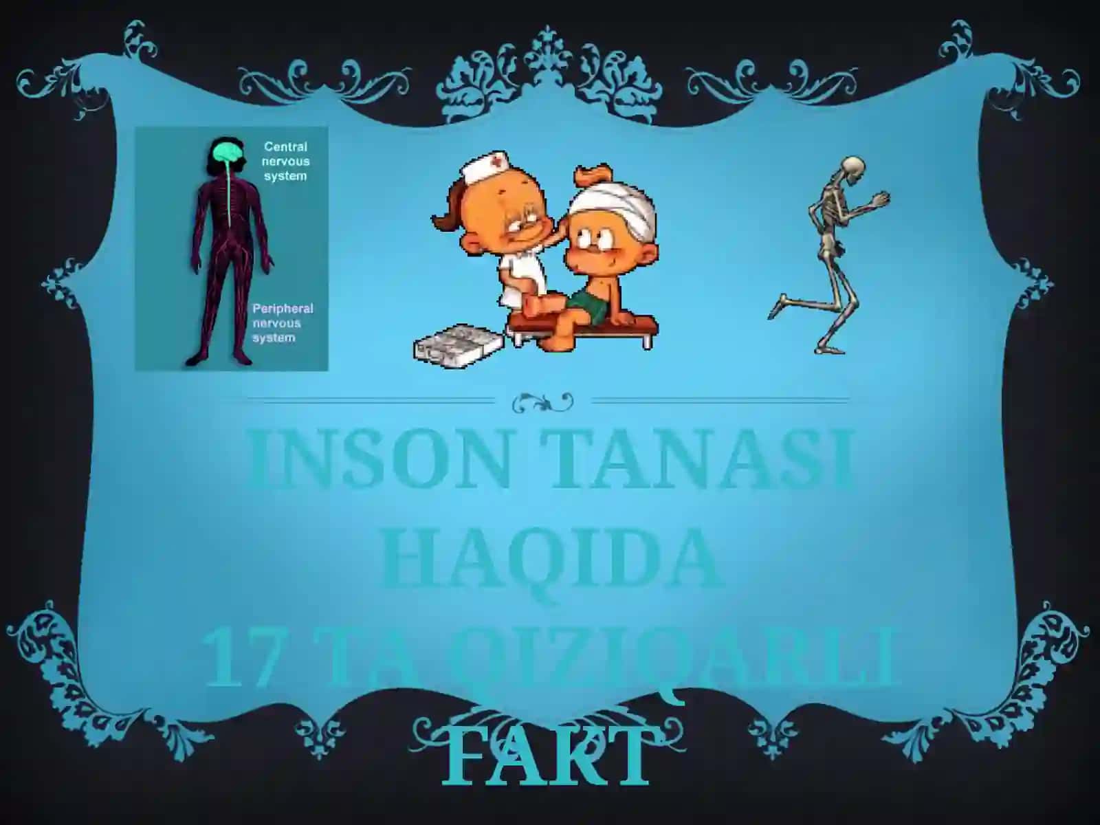 INSON TANASI HAQIDA 17 TA QIZIQARLI FAKT 2