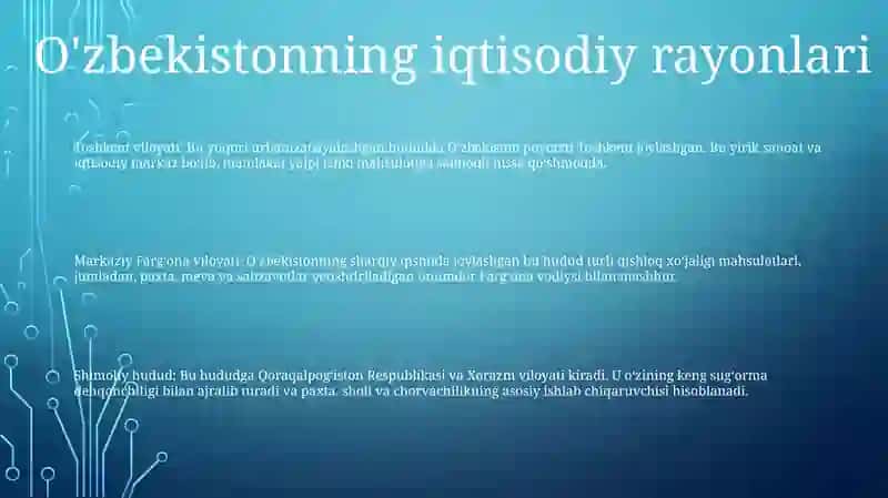 Oʻzbekiston Iqtisodiy Geografik Rayonlari Va Yirik Tabbiy Iqtisodiy Mintaqalari 2