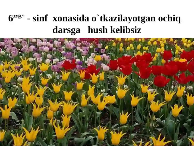 Furnitura va uning turlari 2