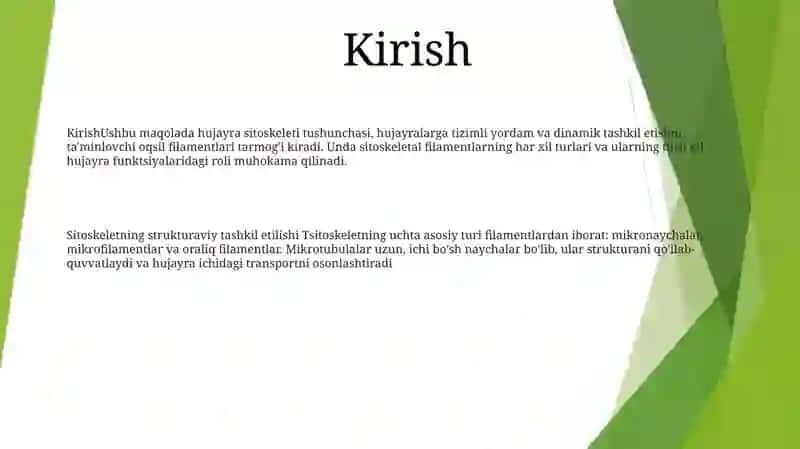 Hujayra Sitoskeleting Sutrukturaviy Va Funksional Tashkil Etilishi 2