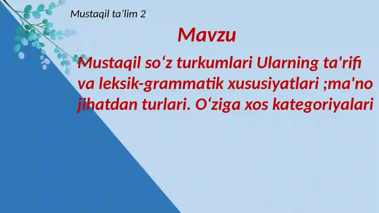 Sabinaning Ona tili - o'qish savodxonligi va uni o'qitish metodikasi 2