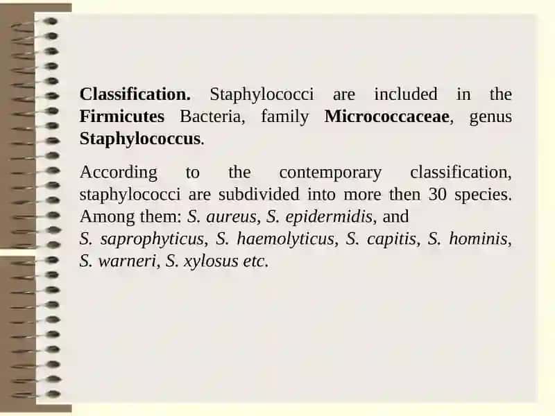 Chairof Microbiology, Virology, and Immunology 2