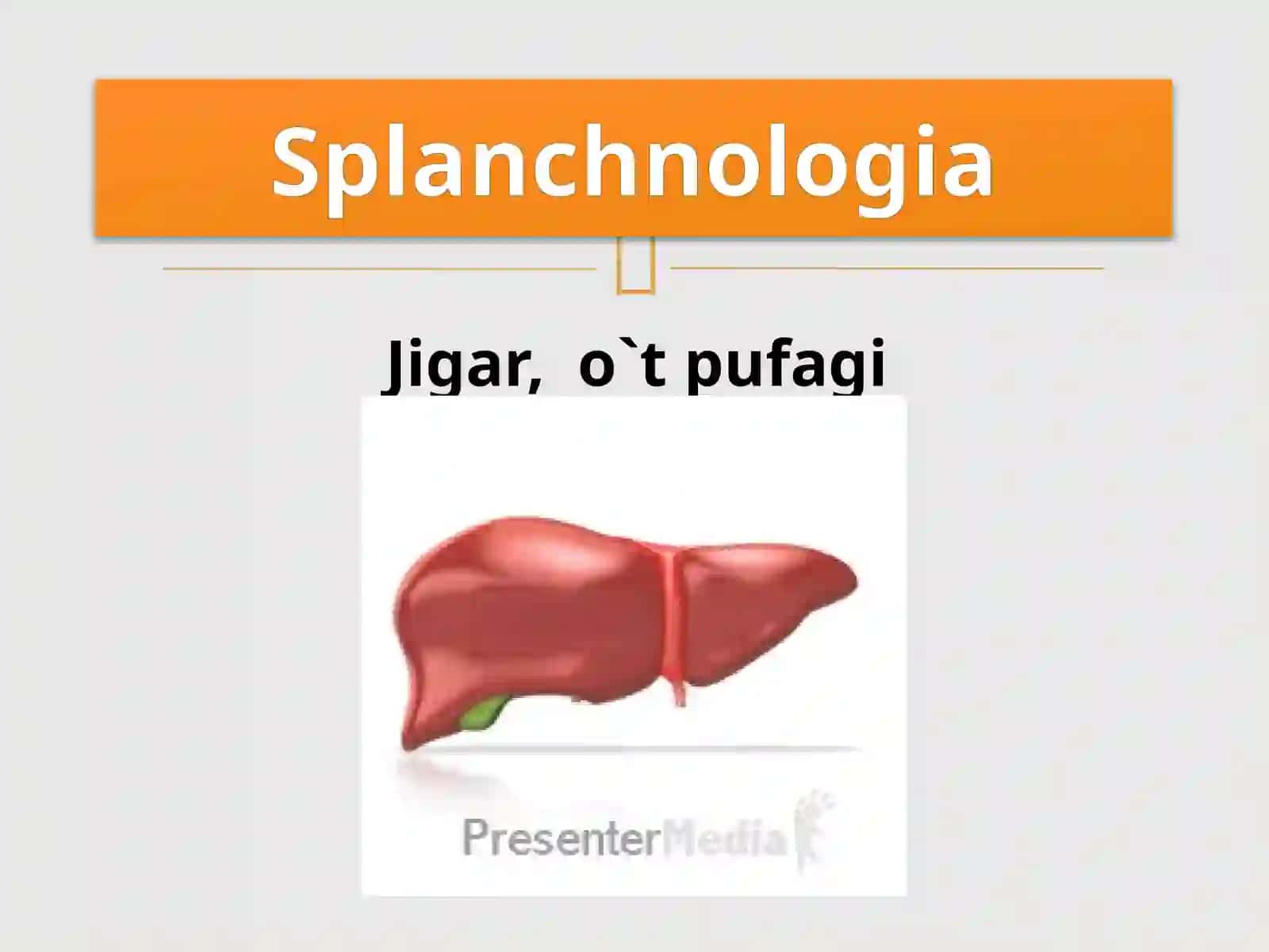 Anatomiya fanidan tayyorlangan prezentatsiyasi 2