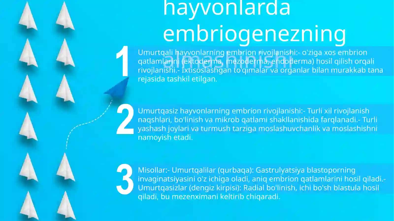 Umurtqali Va Umurtqasiz Hayvonlar Misolida Embriogenezning Almashinib Turishi 2
