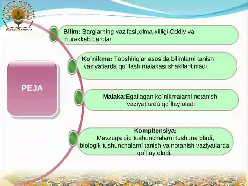 Barglarning vazifasi,xilma-xilligi.Oddiy va murakkab barglar. 2