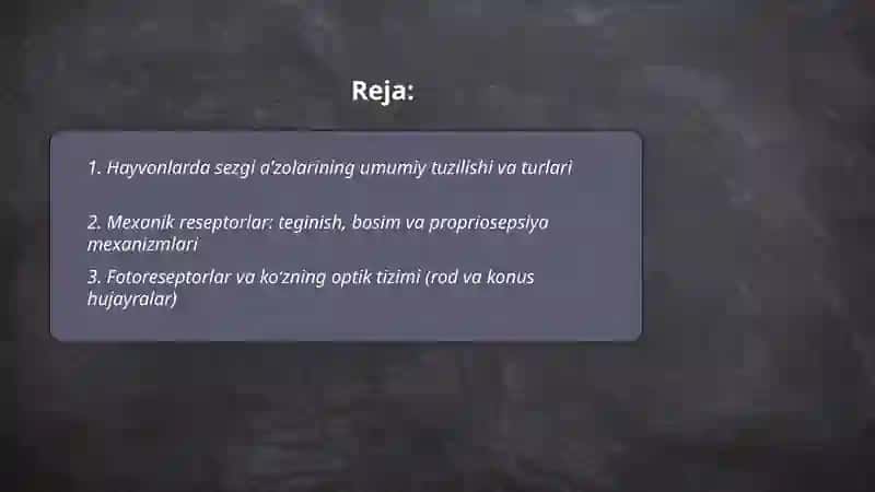 Hayvonlarning sezgi aʼzolari, sensor (qabul qilish) mexanizmlari 2