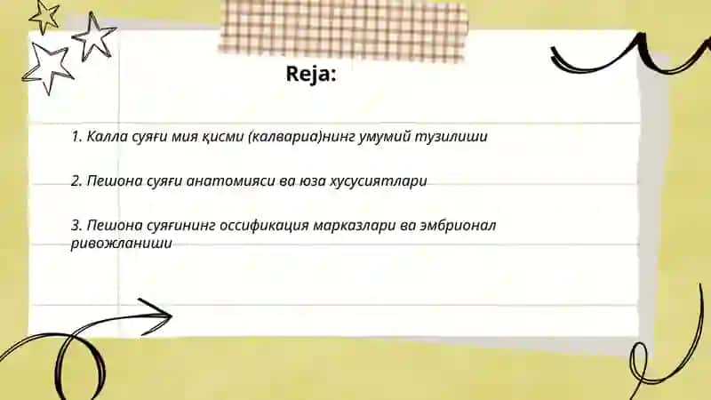 КАЛЛА СУЯГИ. КАЛЛА СУЯГИНИНГМИЯ ҚИСМИ: ЭНСА, ТЕПА, ПЕШОНА ВА ҒАЛВИРСИМОН СУЯКЛАР. ТУЗИЛИШИ ВА ЁШИГА ХОС ХУСУСИЯТЛАРИ. 2