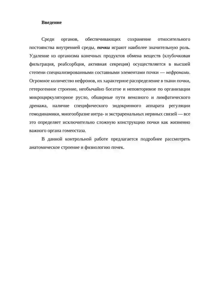 Анатомия и физиология почек человека 2